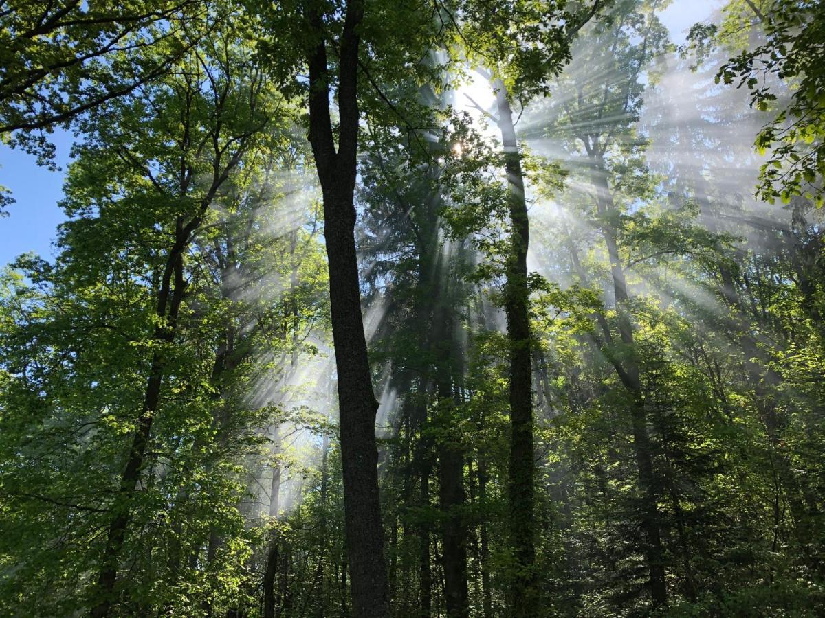 Camping Osenbach Exteriér fotografie