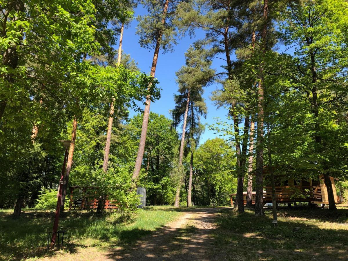Camping Osenbach Exteriér fotografie